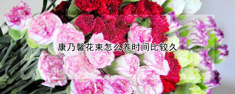 康乃馨花束怎麼養時間比較久