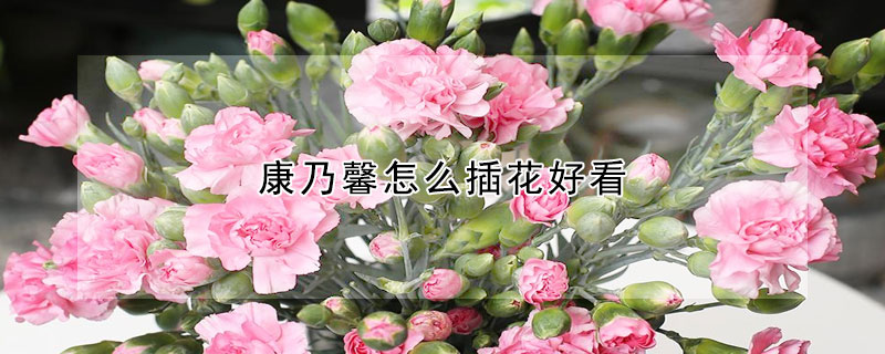 康乃馨怎麼插花好看
