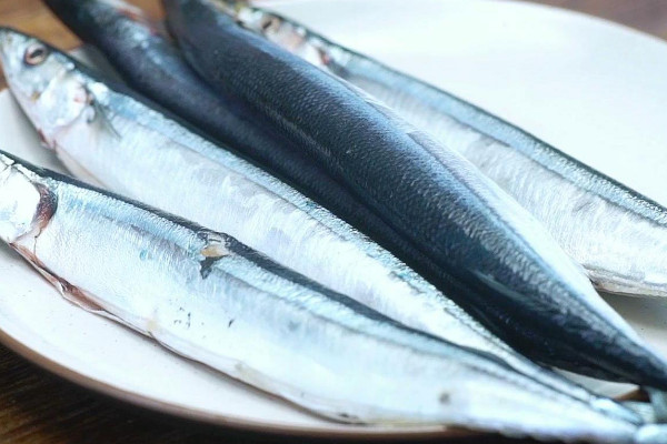 鮁魚和秋刀魚的區別