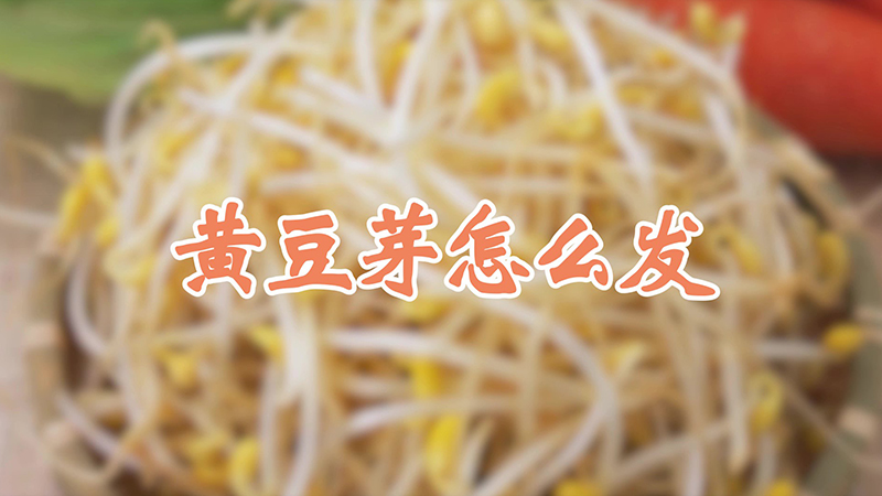 黃豆芽怎麼發