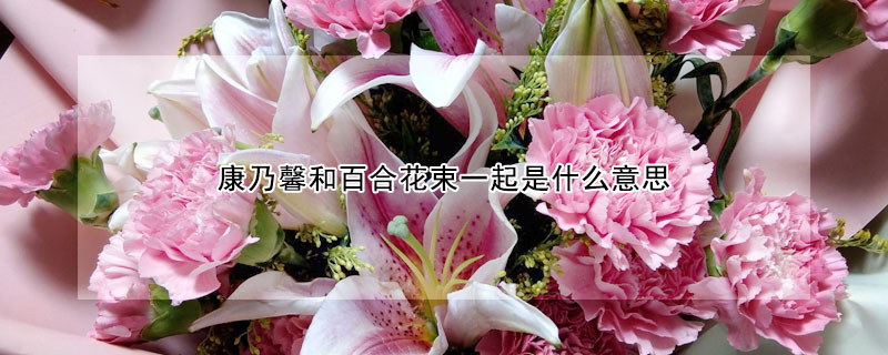 康乃馨和百合花束一起是什麼意思