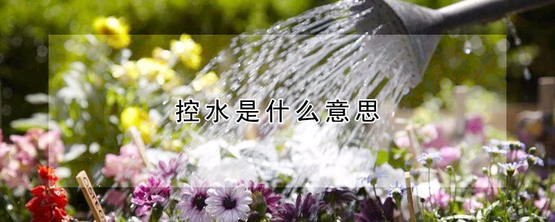 控水是什麼意思