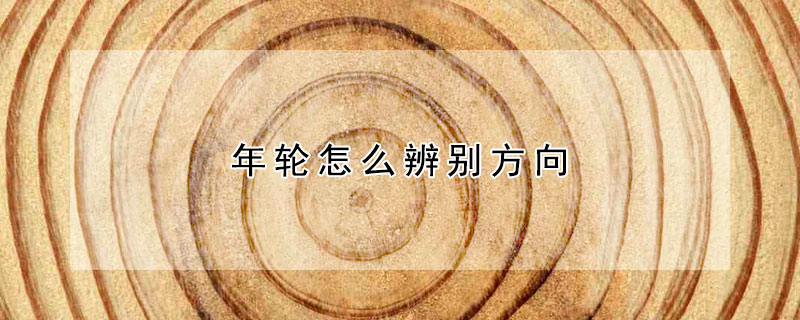 年輪怎麼辨別方向