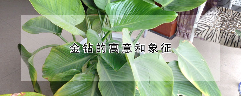 金鑽的寓意和象征