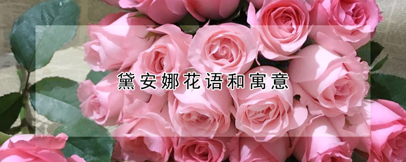 黛安娜花語和寓意