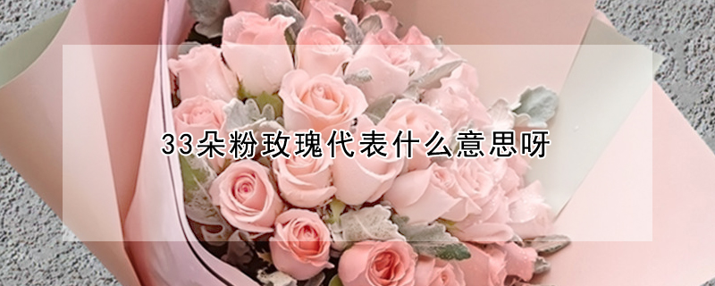 33朵粉玫瑰代表什麼意思呀