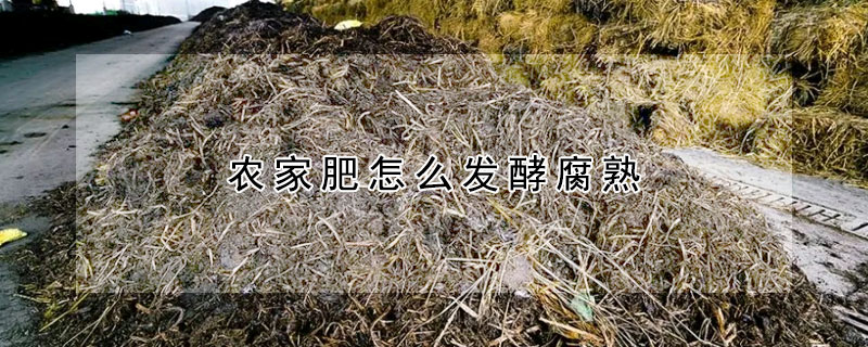 農家肥怎麼發酵腐熟