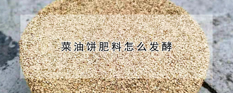 菜油餅肥料怎麼發酵