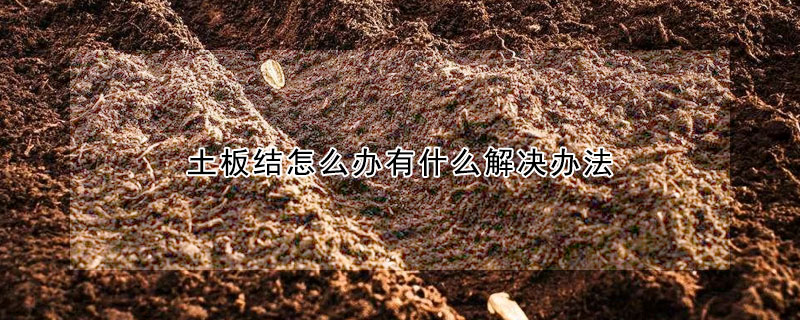 土板結怎麼辦有什麼解決辦法