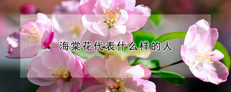 海棠花代表什麼樣的人