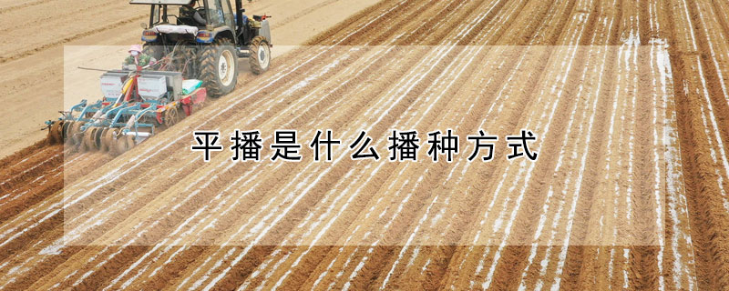 平播是什麼播種方式