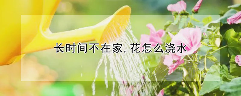 長時間不在家,花怎麼澆水