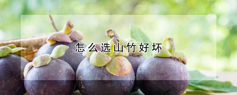怎麼選山竹好壞