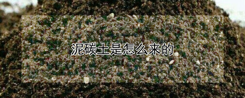 泥碳土是怎麼來的