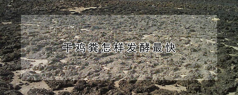 幹雞糞怎樣發酵最快