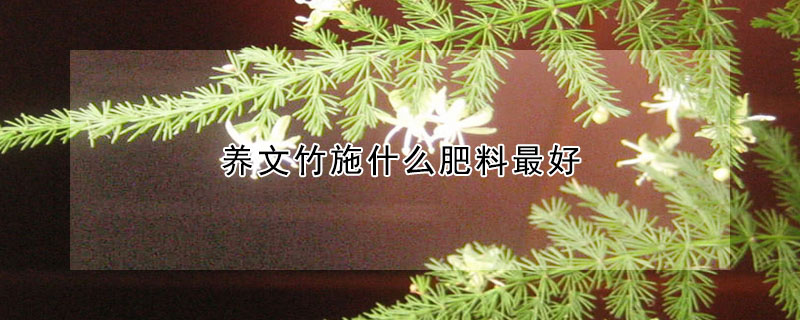 養文竹施什麼肥料最好