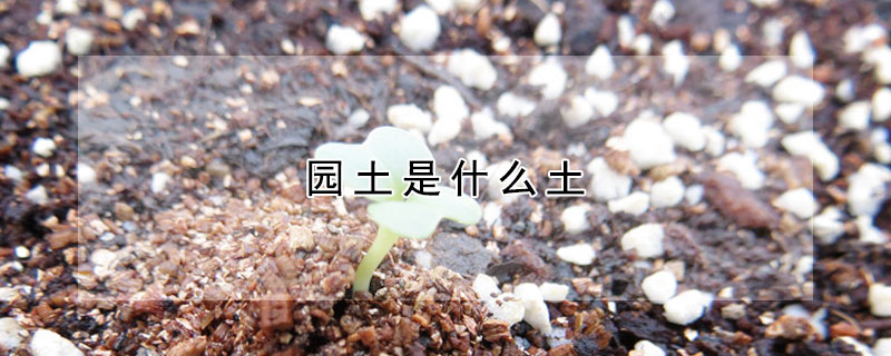 園土是什麼土