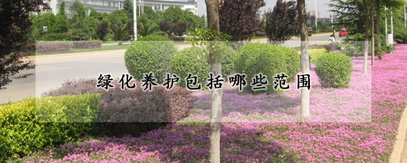 綠化養護包括哪些範圍