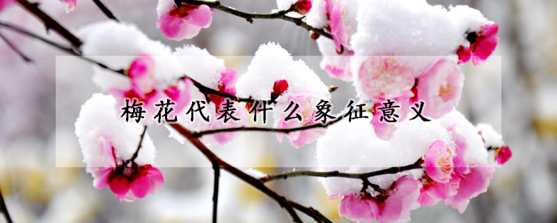 梅花代表什麼象征意義