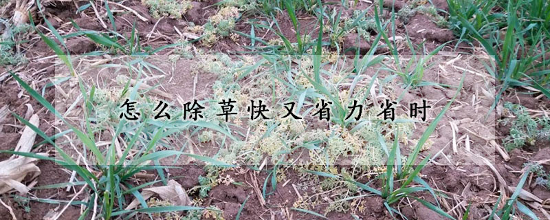 怎麼除草快又省力省時