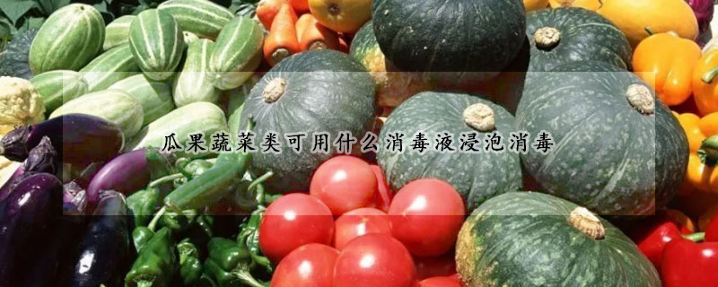 瓜果蔬菜類可用什麼消毒液浸泡消毒