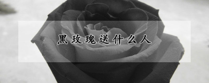 黑玫瑰送什麼人