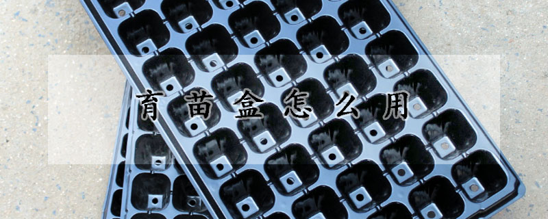 育苗盒怎麼用