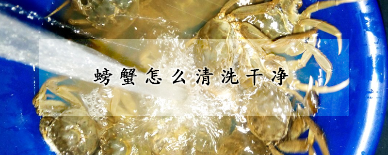 螃蟹怎麼清洗幹淨