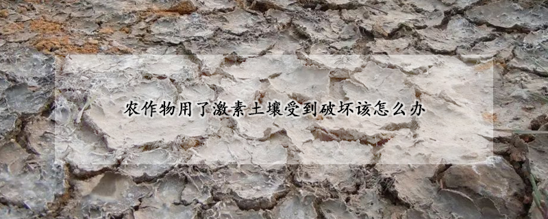 農作物用了激素土壤受到破壞該怎麼辦