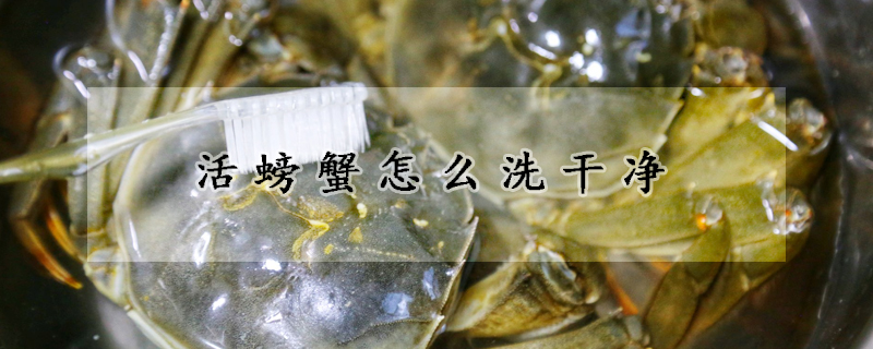活螃蟹怎麼洗幹淨