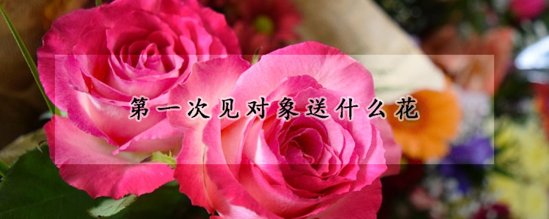 第一次見對象送什麼花