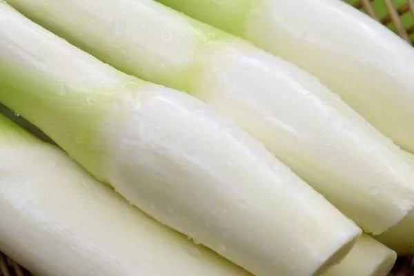 蔬菜茭白是什麼