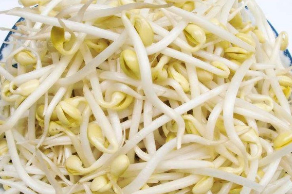 黃豆芽是什麼