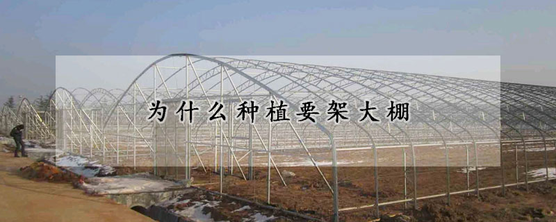 為什麼種植要架大棚