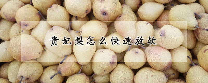 貴妃梨怎麼快速放軟