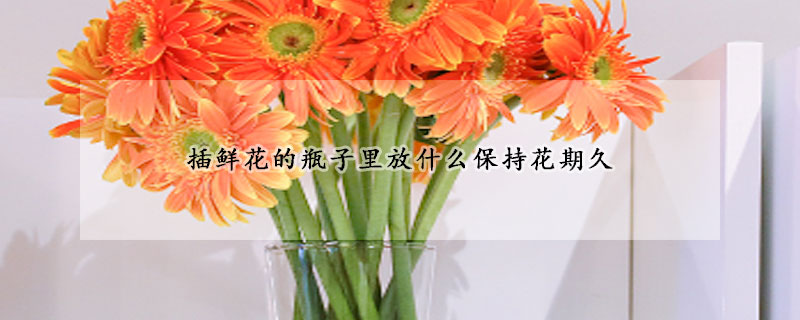 插鮮花的瓶子裏放什麼保持花期久