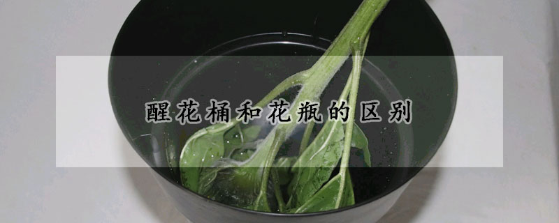 醒花桶和花瓶的區別