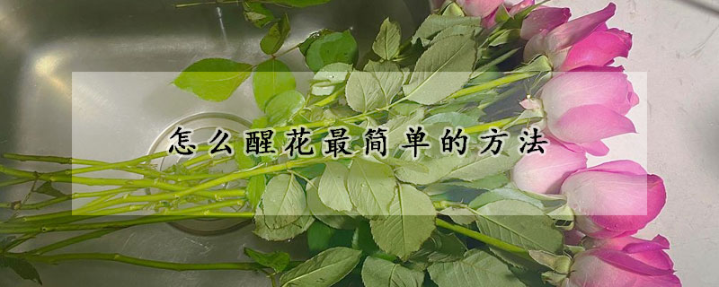 怎麼醒花最簡單的方法