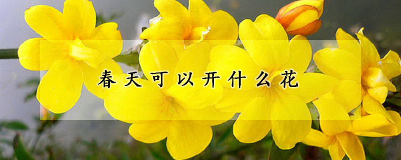 春天可以開什麼花