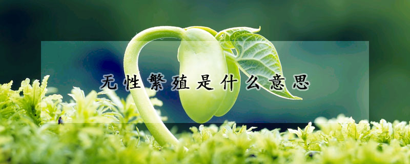 無性繁殖是什麼意思