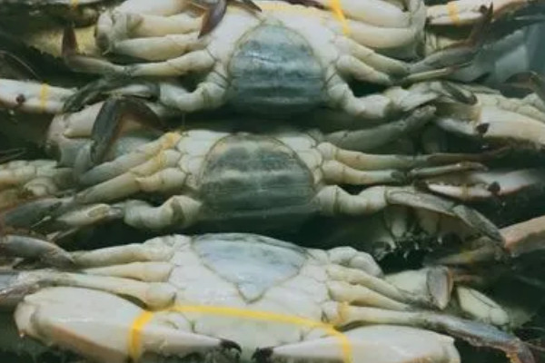 螃蟹什麼樣的好