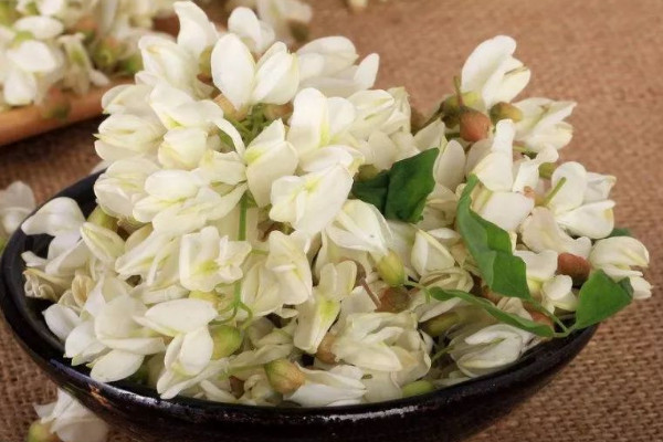 槐花怎麼保存最好