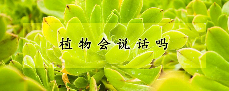 植物會說話嗎