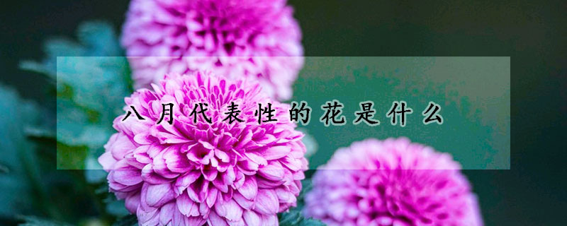 八月代表性的花是什麼