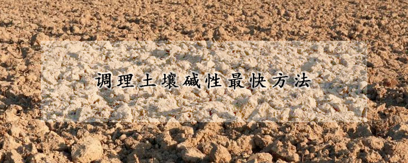 調理土壤堿性最快方法