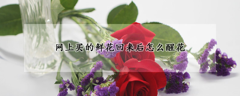 網上買的鮮花回來後怎麼醒花