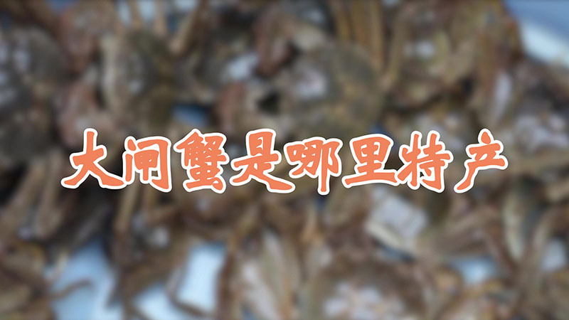 大閘蟹是哪裏特產