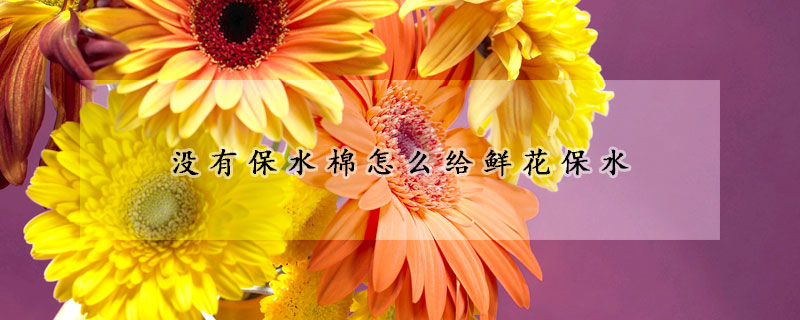 沒有保水棉怎麼給鮮花保水