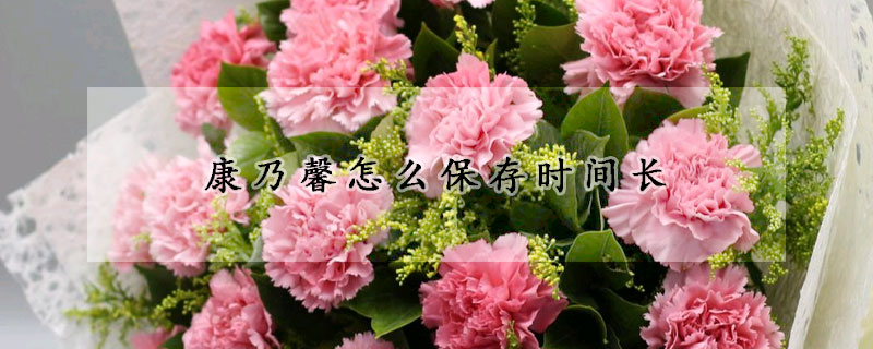 康乃馨怎麼保存時間長