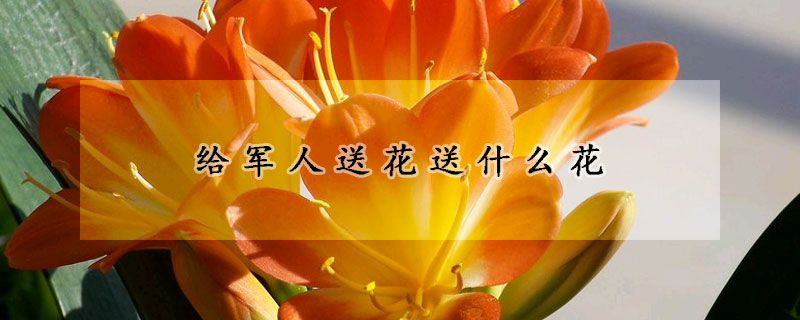 給軍人送花送什麼花
